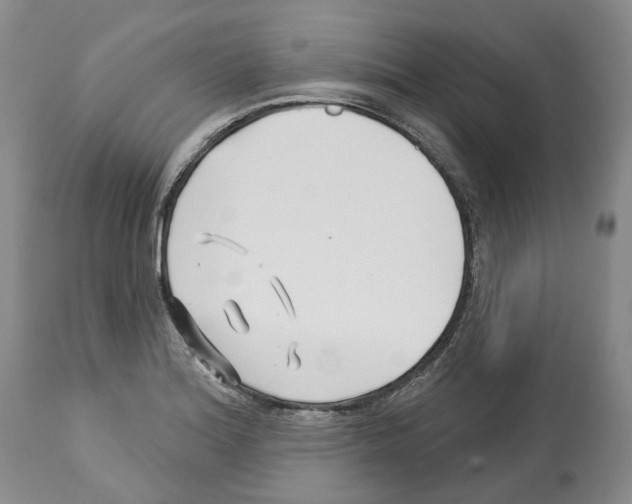 X0000112461180200909281013