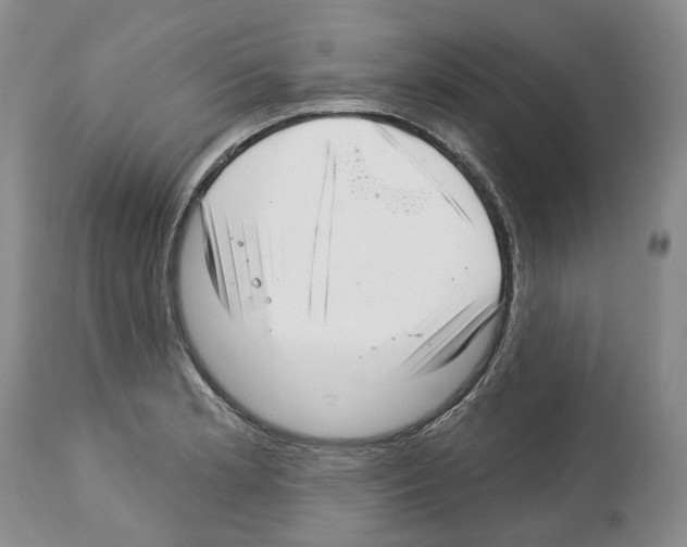 X0000112461181200909281013