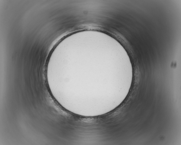 X0000112461182200909281013