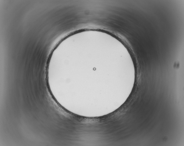 X0000112461183200909281013
