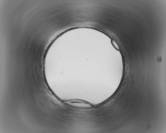 X0000112461184200909281013