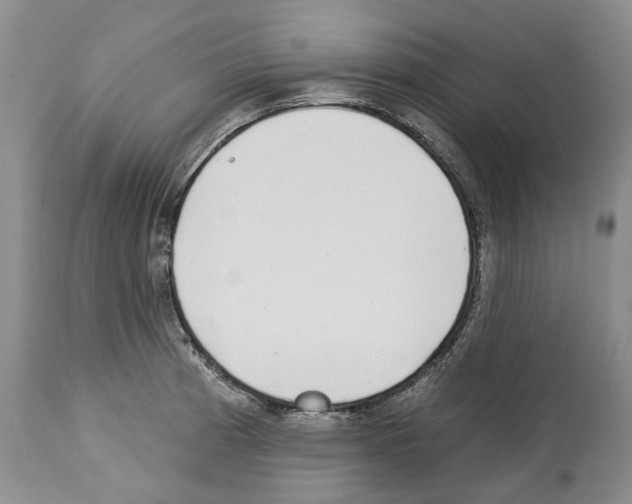 X0000112461185200909281013