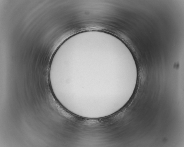 X0000112461186200909281013