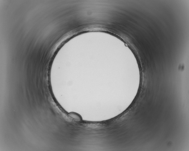X0000112461189200909281013