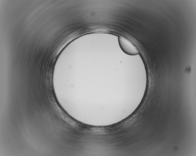 X0000112461194200909281013