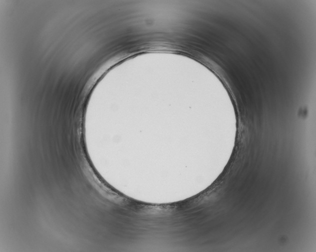 X0000112461195200909281013