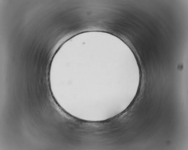 X0000112461197200909281013