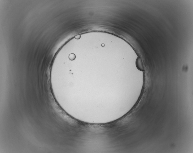 X0000112461198200909281013