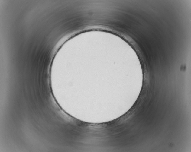 X0000112461199200909281013