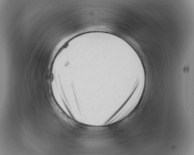 X0000112461200200909281013