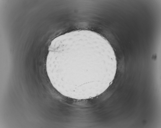 X0000112461201200909281012