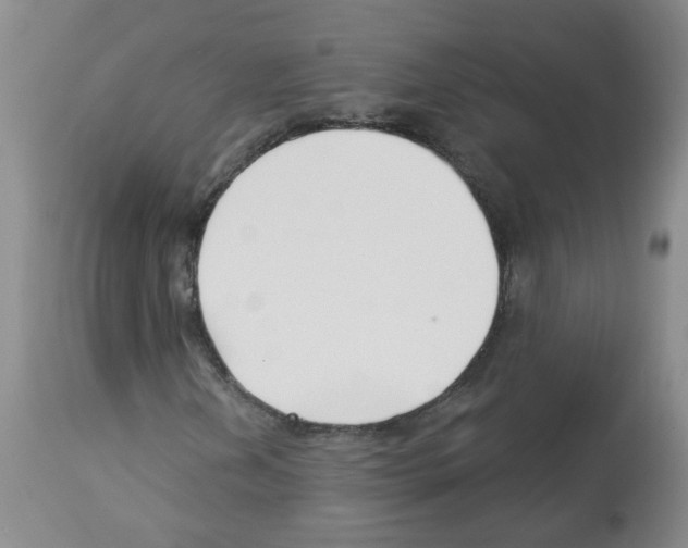 X0000112461202200909281012