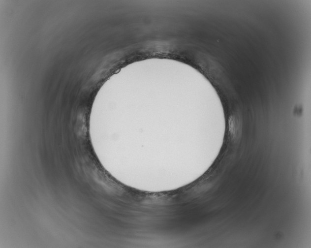 X0000112461203200909281012