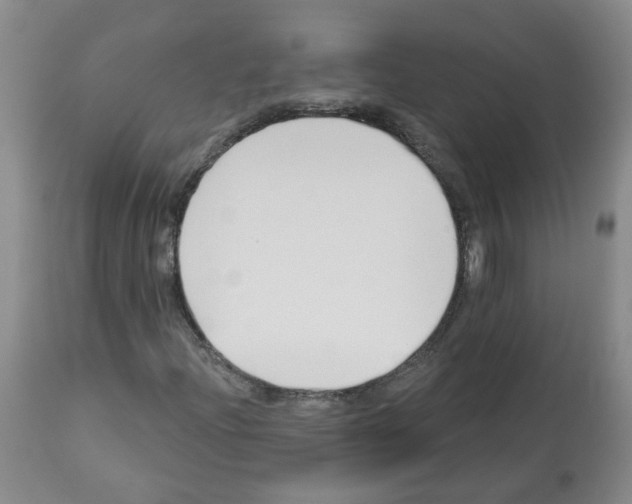 X0000112461204200909281012