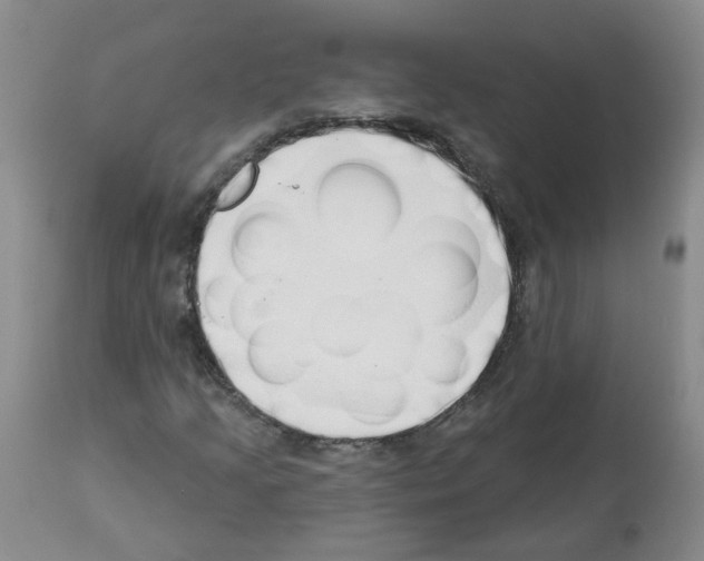 X0000112461205200909281012