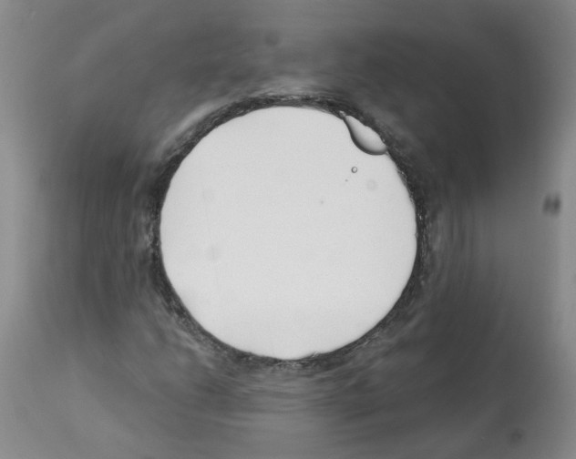 X0000112461206200909281012