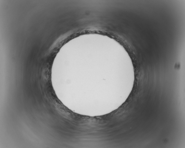 X0000112461207200909281012