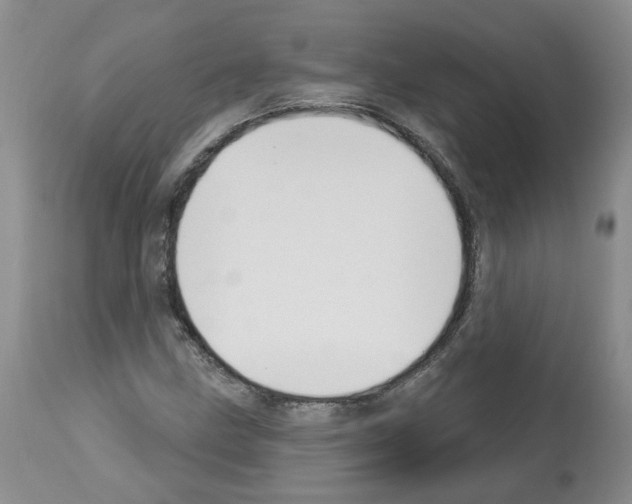 X0000112461211200909281012