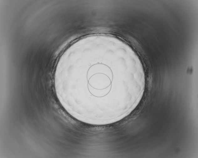 X0000112461212200909281012