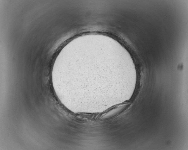 X0000112461213200909281012