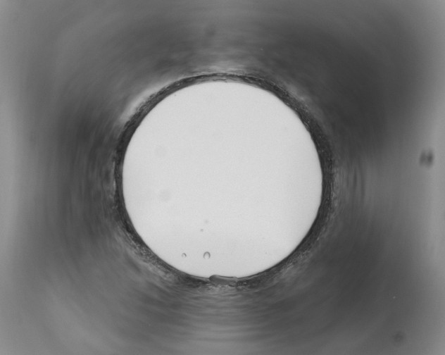 X0000112461214200909281012
