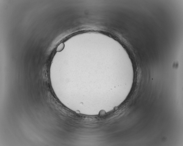 X0000112461215200909281012