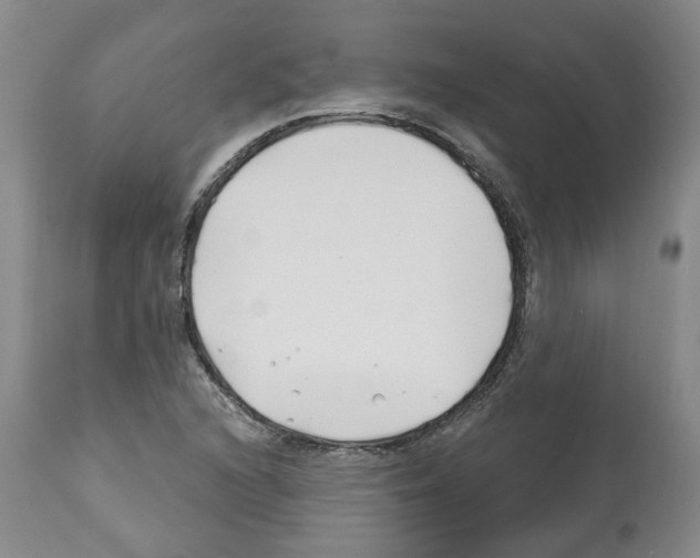 X0000112461216200909281012