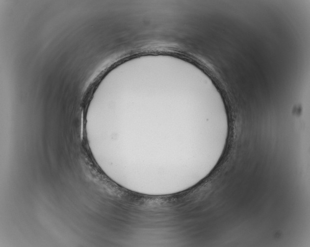 X0000112461219200909281012