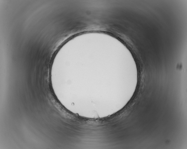 X0000112461220200909281012