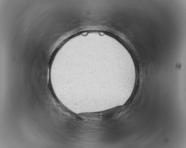 X0000112461221200909281012