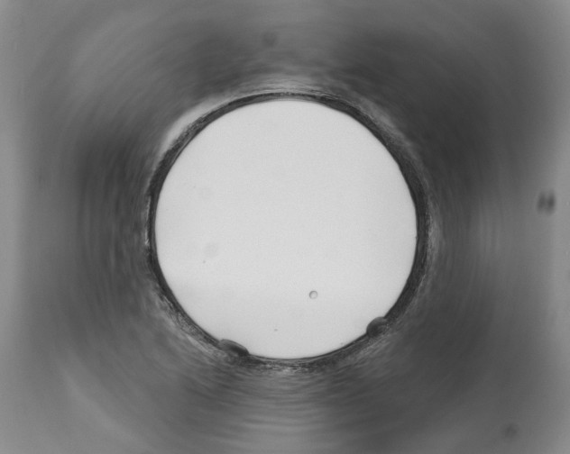 X0000112461222200909281012