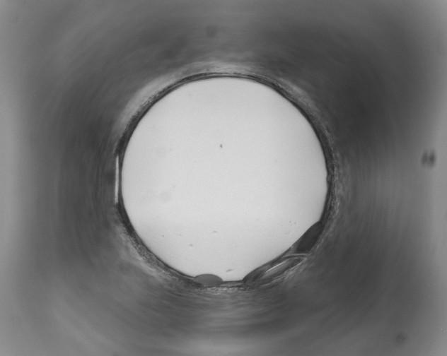 X0000112461223200909281012
