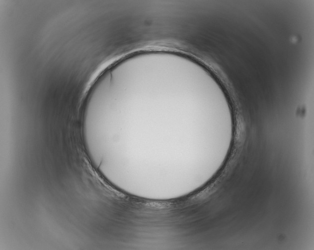 X0000112461224200909281012