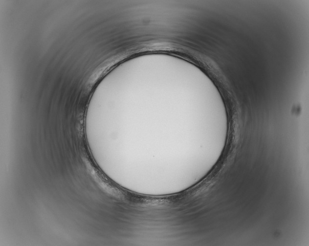 X0000112461225200909281012