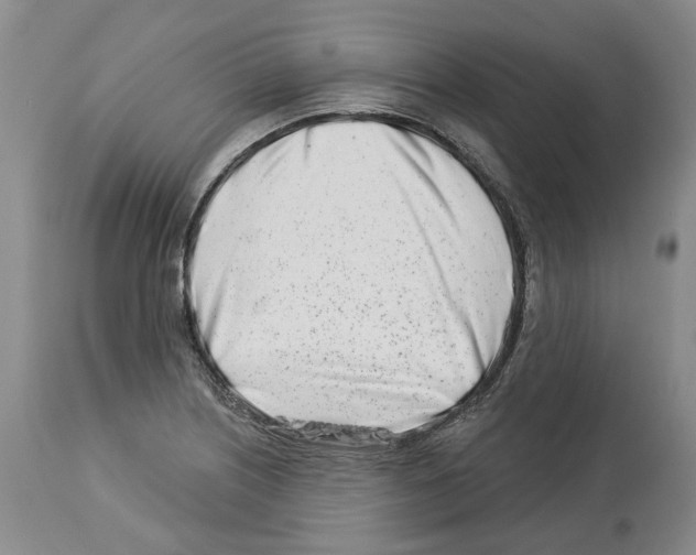 X0000112461226200909281012