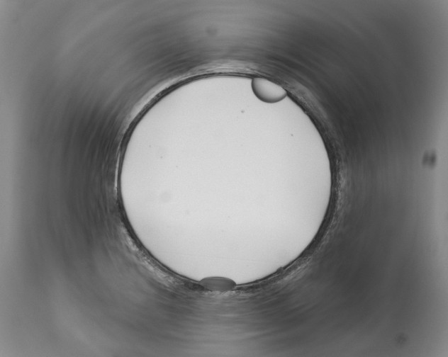 X0000112461228200909281012