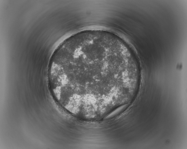 X0000112461229200909281012