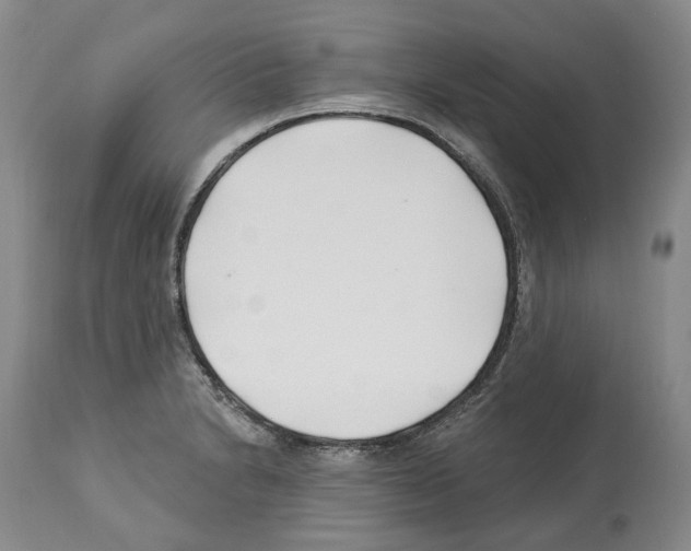 X0000112461230200909281012