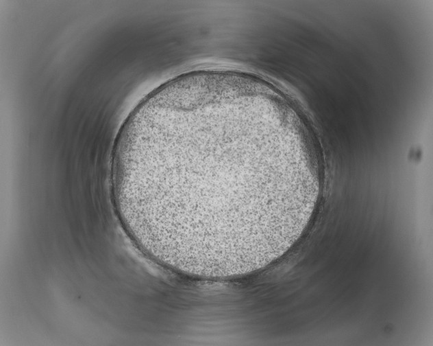 X0000112461231200909281012