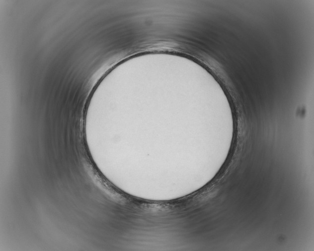 X0000112461234200909281012