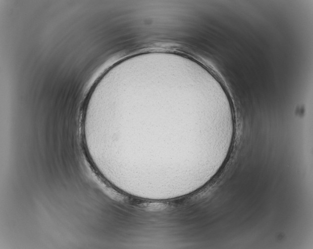 X0000112461235200909281012