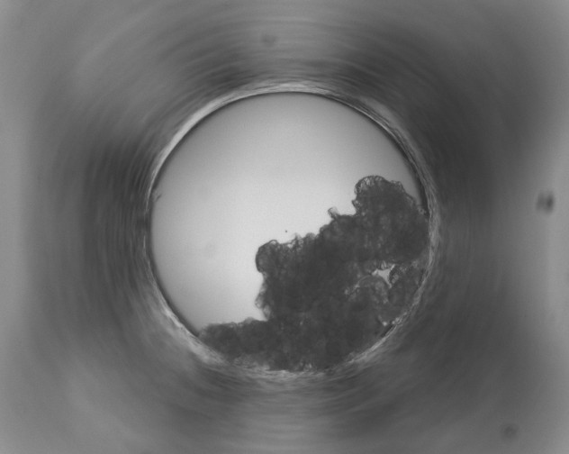 X0000112461236200909281012