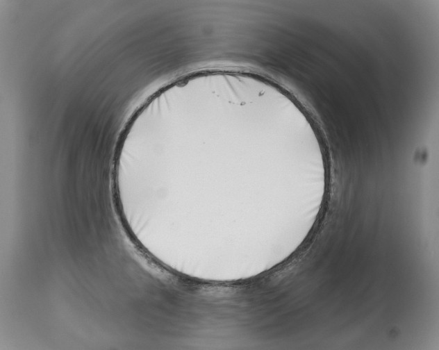 X0000112461237200909281012