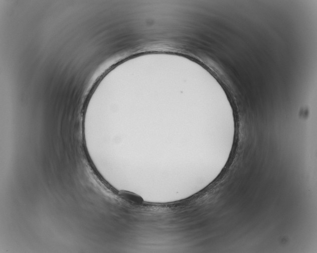 X0000112461238200909281012