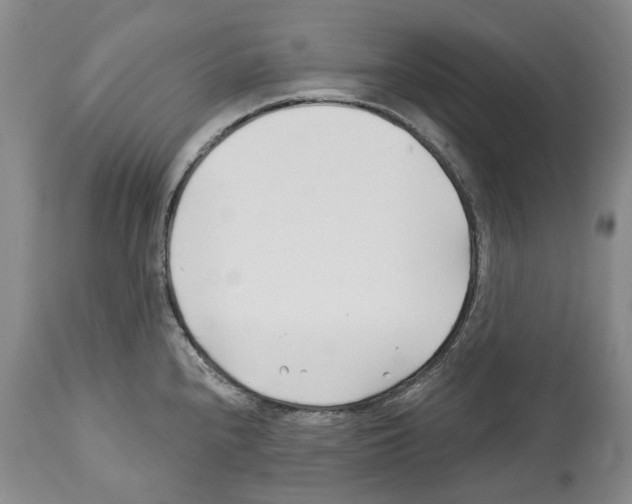 X0000112461240200909281012
