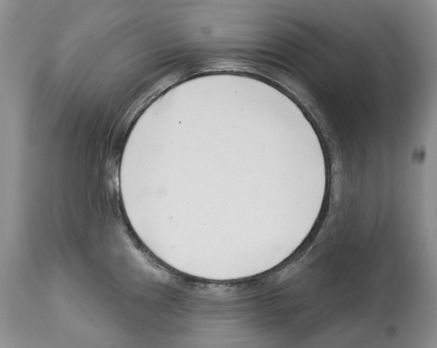 X0000112461241200909281012