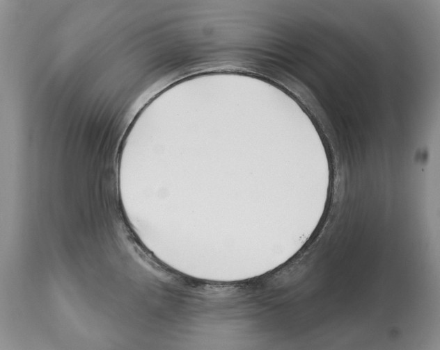 X0000112461242200909281012
