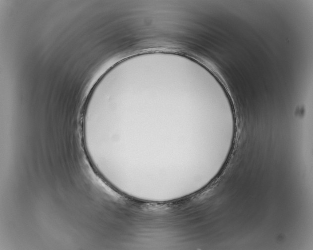 X0000112461243200909281012