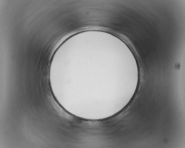 X0000112461244200909281012