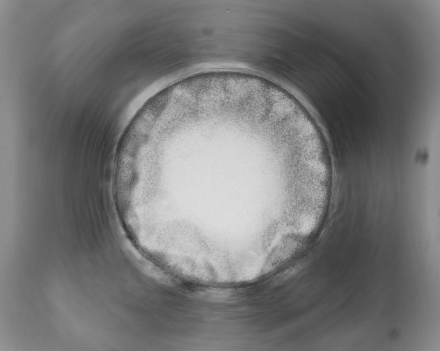 X0000112461245200909281012
